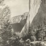 Ansel Adams, Sierra Junipers, Upper Merced Basin, Yosemite Valley, c. 1923