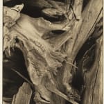 Carleton Watkins, Agassiz Rock from Union Pt, Yosemite, 1878-81