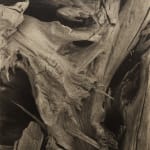 Paul Strand, Driftwood, Maine, 1928