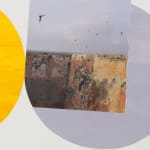 Diana Guerrero-Maciá, Paintings for Birds no. 10, 2024