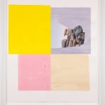 Diana Guerrero-Maciá, Paintings for Birds no. 1, 2024