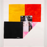 Diana Guerrero-Maciá, Paintings for Birds no. 1, 2024