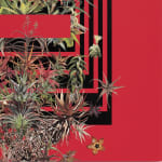 Stephen Eichhorn, The Aloe & Agave, 2024