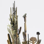 Stephen Eichhorn, The Aloe & Agave, 2024
