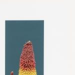 Stephen Eichhorn, Green & Yellow (Voidground), 2024