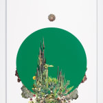Stephen Eichhorn, Alluaudia Stacks, 2023