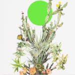 Stephen Eichhorn, Green & Yellow (Voidground), 2024