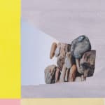 Diana Guerrero-Maciá, Paintings for Birds no. 1, 2024