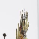 Stephen Eichhorn, The Aloe & Agave, 2024