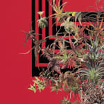 Stephen Eichhorn, The Aloe & Agave, 2024