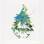 Stephen Eichhorn, Two Flowers (Voidground), 2024