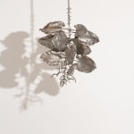 Carolyn Ottmers, Splice #13 (CO10DAVUI), 2010