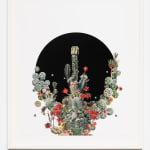 Stephen Eichhorn, Stepped Lophophora (Voidground), 2022