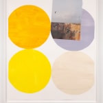 Diana Guerrero-Maciá, Paintings for Birds no. 10, 2024
