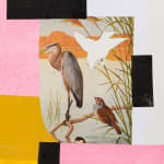 Diana Guerrero-Maciá, Paintings for Birds no. 10, 2024