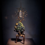 Mark Brazier-Jones, Window
