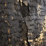 Detailed view of 'PROPHECY' by Mathilde Lefort, highlighting the contrast between the deep black iron and the shimmering gold powder. The artwork's surface is rugged, with gold script-like forms scattered across, resembling a cryptic language or divine symbols fading into the dark background, suggesting the transient nature of ancient prophecies.