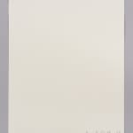 Janet Alling, Portfolio Two: Musical Notes of a Tree Nos. 1-20, 2006