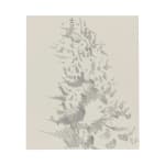 Janet Alling, Portfolio Two: Musical Notes of a Tree Nos. 1-20, 2006