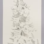 Janet Alling, Portfolio Two: Musical Notes of a Tree Nos. 1-20, 2006