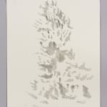 Janet Alling, Portfolio Two: Musical Notes of a Tree Nos. 1-20, 2006