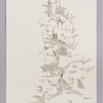 Janet Alling, Portfolio Two: Musical Notes of a Tree Nos. 1-20, 2006