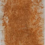 Shaanea Mendis, Cellscape 40, 2015