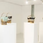 Gayan Prageeth, Since 1983 XXV, 2017