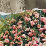 Muvindu Binoy, Scan Single 01, 2020