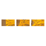 Malinda Jayasinghe, Saffron Borders II, 2024