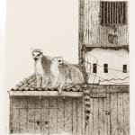 Firi Rahman, Lemur, 2018