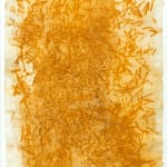 Shaanea Mendis, Cellscape 40, 2015