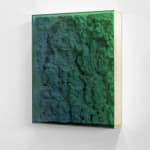 Filip Vervaet, Sedimental Journey (Fields of Plenty), 2020
