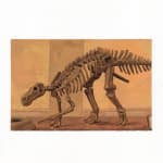 Felix De Clercq, Woolly Rhinoceros, 2025