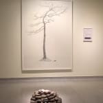 Shi Jin-Hua, The Yoga Tree, 1994-1996