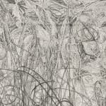 Shi Jin-Hua, Lines of Music Op.01, 2015