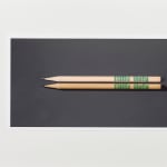 Shi Jin-Hua, One Thousand Days, 2012.04.20-2015.01.14