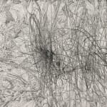 Shi Jin-Hua, Lines of Music Op.01, 2015
