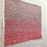 Shi Jin-Hua, One Thousand Days, 2012.04.20-2015.01.14
