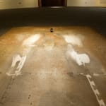 Shi Jin-Hua, One Thousand Days, 2012.04.20-2015.01.14