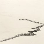 Shi Jin-Hua, Pen Walking #163, 2012-2016