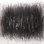 Shi Jin-Hua, Pen Walking #80, 2010