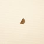 Shi Jin-Hua, X Bodhi Trees, 2010-2021