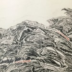 Shi Jin-Hua, Pen Walking #163, 2012-2016