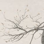 Shi Jin-Hua, The Yoga Tree, 1994-1996