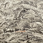 Shi Jin-Hua, Pen Walking #163, 2012-2016