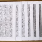 Shi Jin-Hua, One Thousand Days, 2012.04.20-2015.01.14