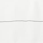 Shi Jin-Hua, One Thousand Days, 2012.04.20-2015.01.14