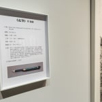 Thumbnail of additional image