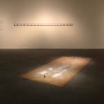 Shi Jin-Hua, One Thousand Days, 2012.04.20-2015.01.14